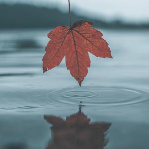 荷兰少妇XXXX做受6
