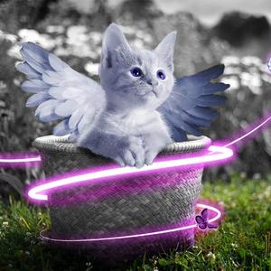 荷兰少妇XXXX做受6
