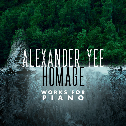 荷兰少妇XXXX做受6
